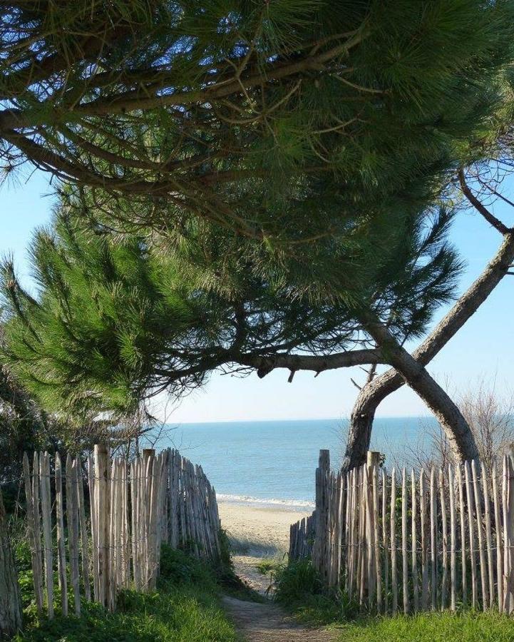 Saint-Martin-de-Ré A 150M Du Port De St-Martin-De-Re, Studio Pour 2 מראה חיצוני תמונה